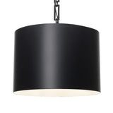 Alston 6 Light 20" Chandelier - thebelacan