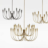 Iiona Candelabra Chandelier Light - thebelacan