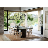 Iiona Candelabra Chandelier Light - thebelacan