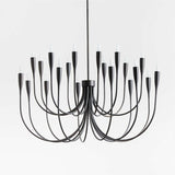 Iiona Candelabra Chandelier Light - thebelacan